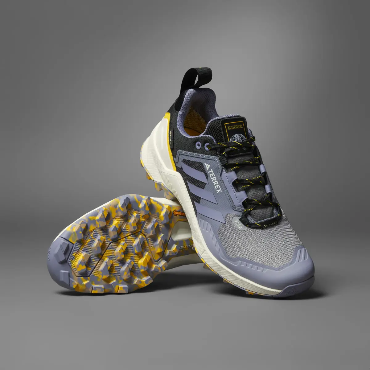 Adidas TERREX SWIFT R3 GTX x NATGEO. 1