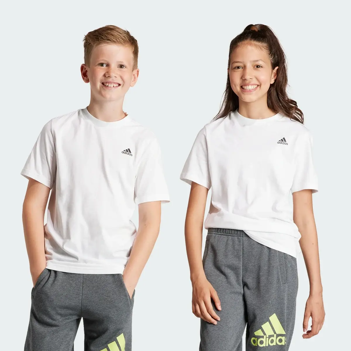 Adidas Essentials Small Logo Cotton T-Shirt. 1