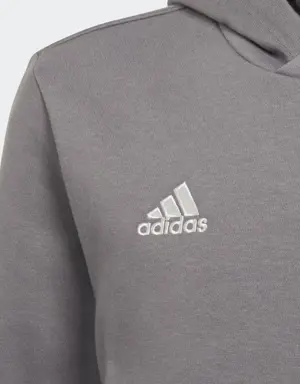 Adidas Entrada 22 Sweat Hoodie. 3