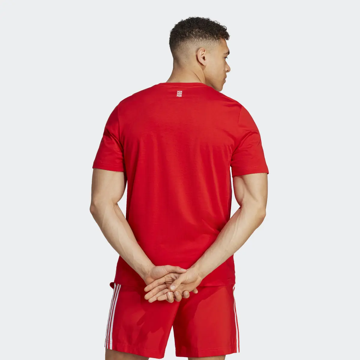 Adidas FC Bayern München DNA Graphic T-Shirt. 3