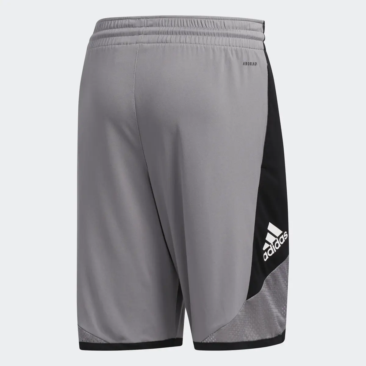 Adidas Pro Madness Shorts. 2