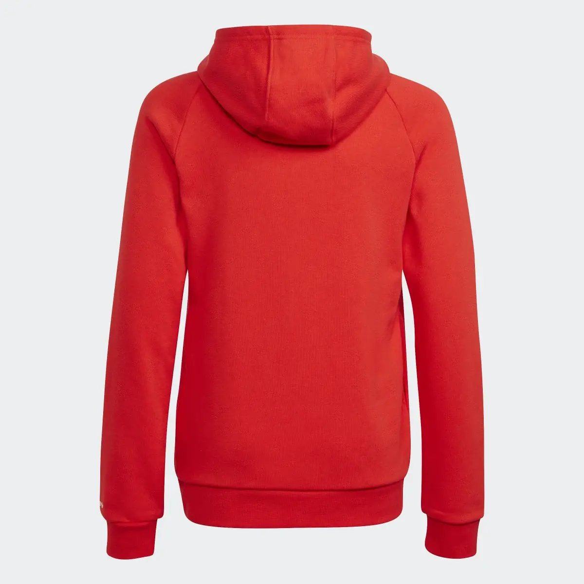 Adidas Adicolor Hoodie. 2