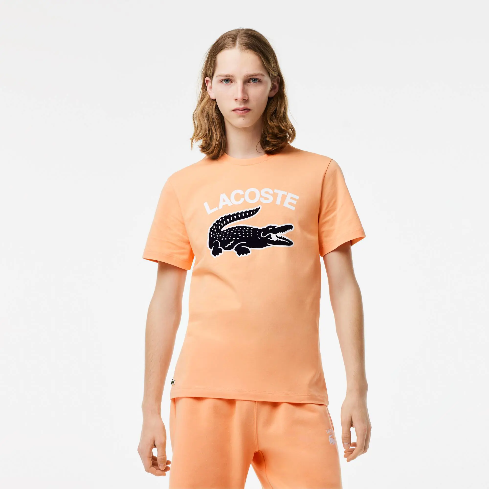 Lacoste Herren LACOSTE T-Shirt mit XL-Krokodilaufdruck. 1