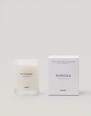 Mimosa scented candle