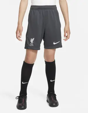 Liverpool F.C. Academy Pro