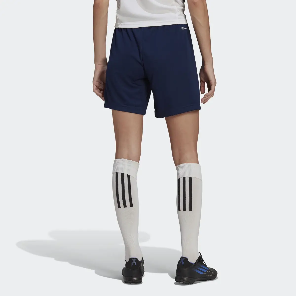 Adidas Entrada 22 Shorts. 2