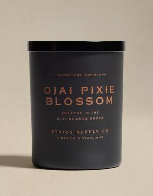 Ethics Supply Co &#124 Ojai Pixie Blossom Candle beige