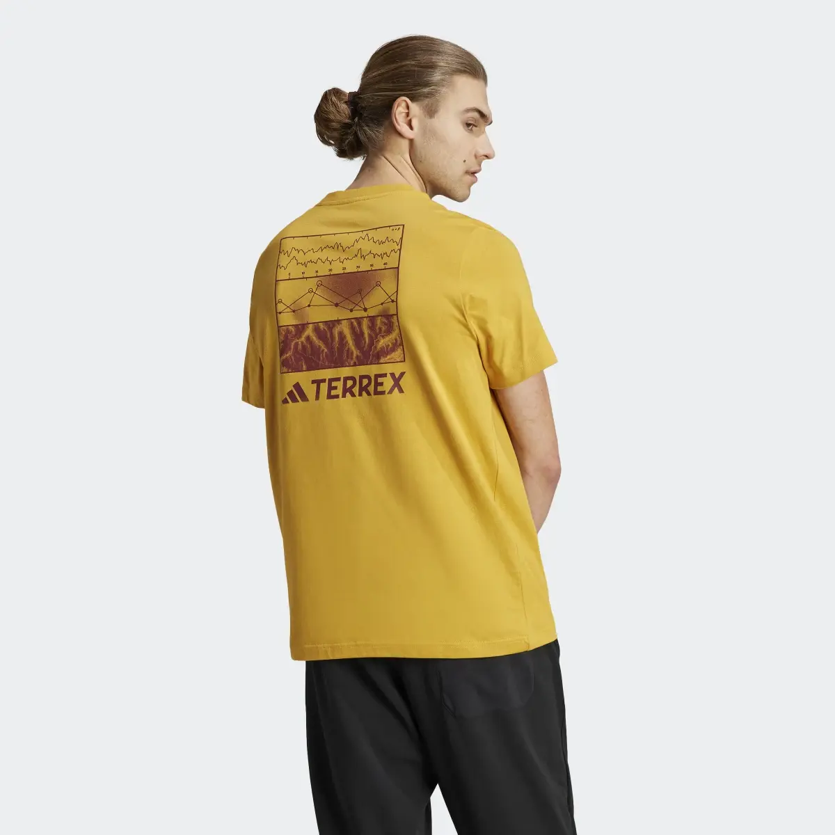 Adidas T-shirt Terrex Graphic Altitude. 3