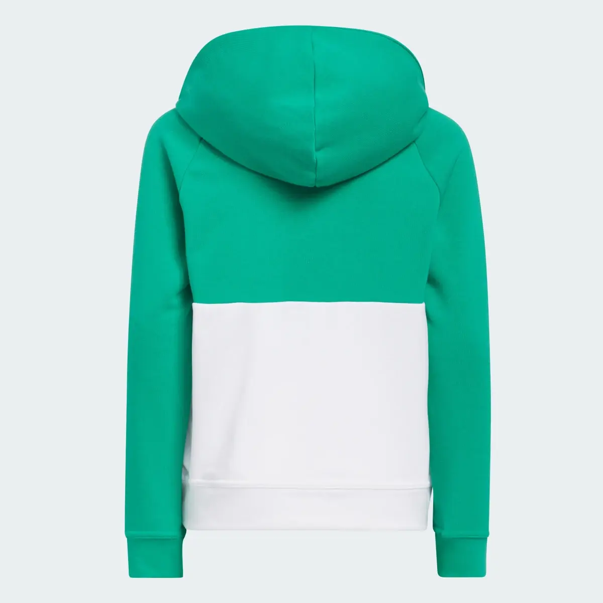 Adidas Colorblock Hoodie. 2