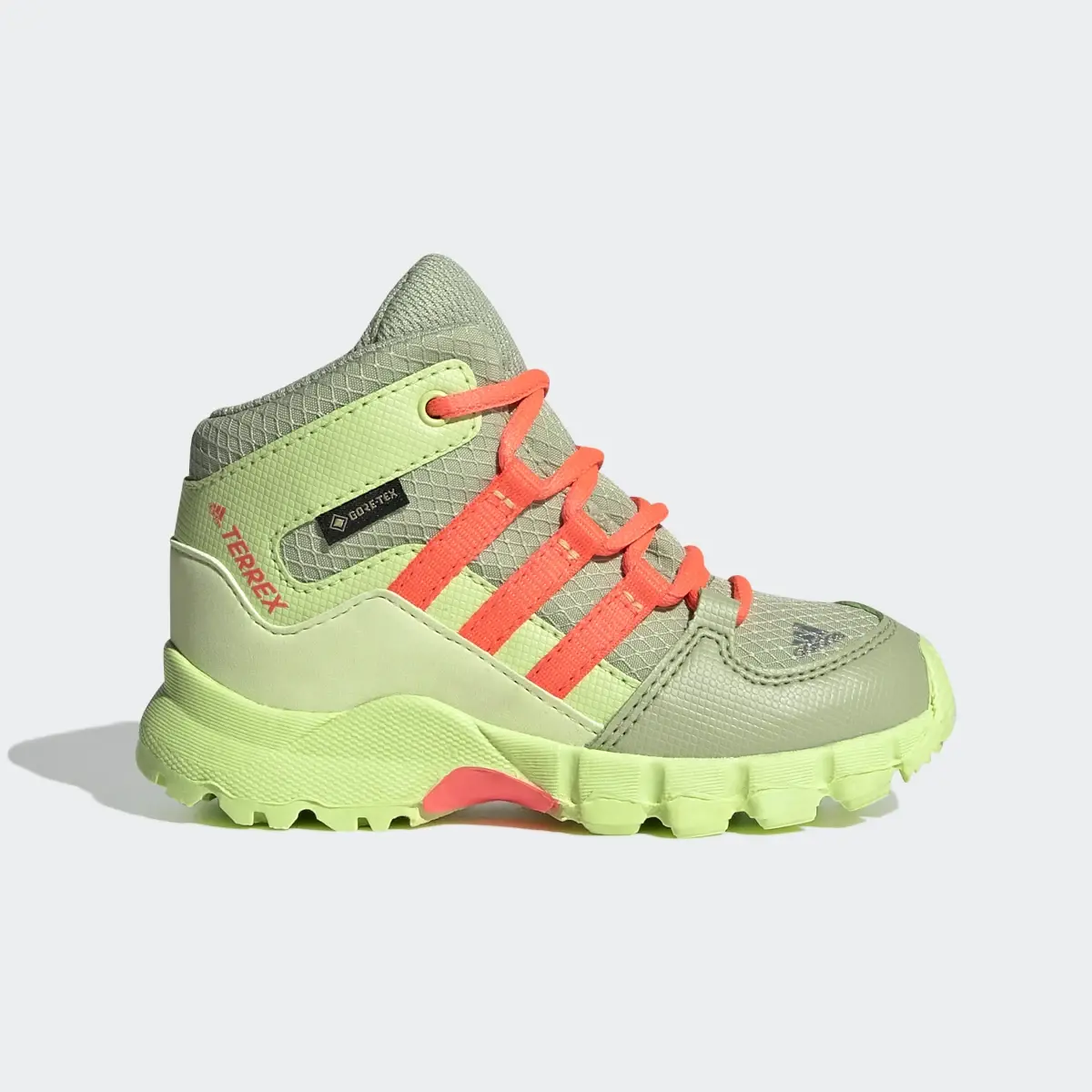 Adidas Botas Mid GTX TERREX. 2