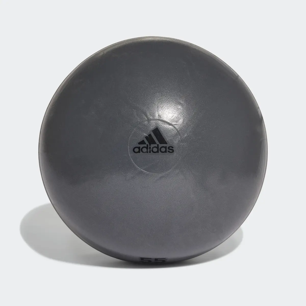 Adidas Gymball. 2