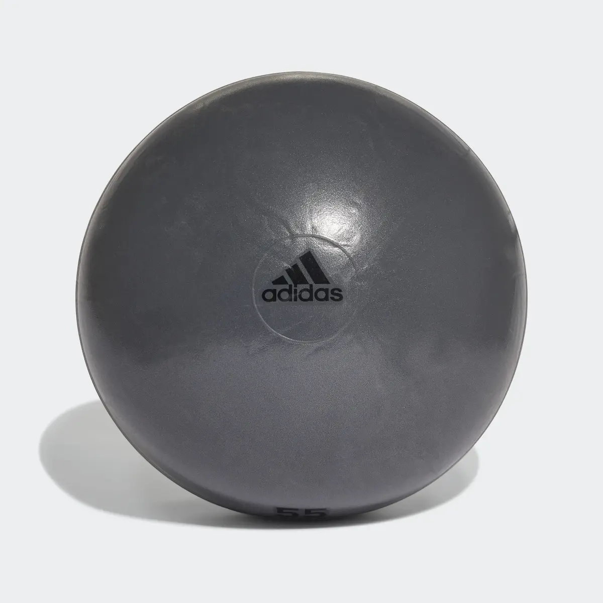 Adidas Ballon de gym 55 cm. 2