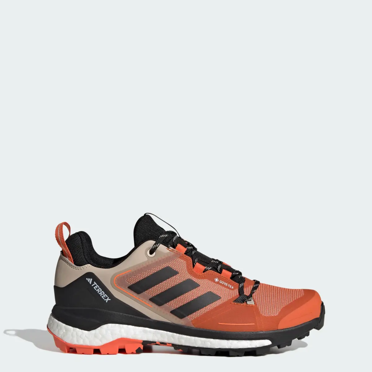 Adidas Terrex Skychaser GORE-TEX Hiking Shoes 2.0. 1