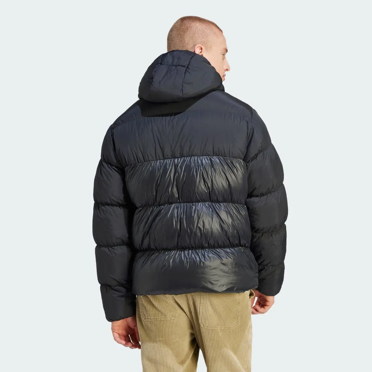 Adidas Kurtka Adicolor Down Regen Hooded Puffer. 3