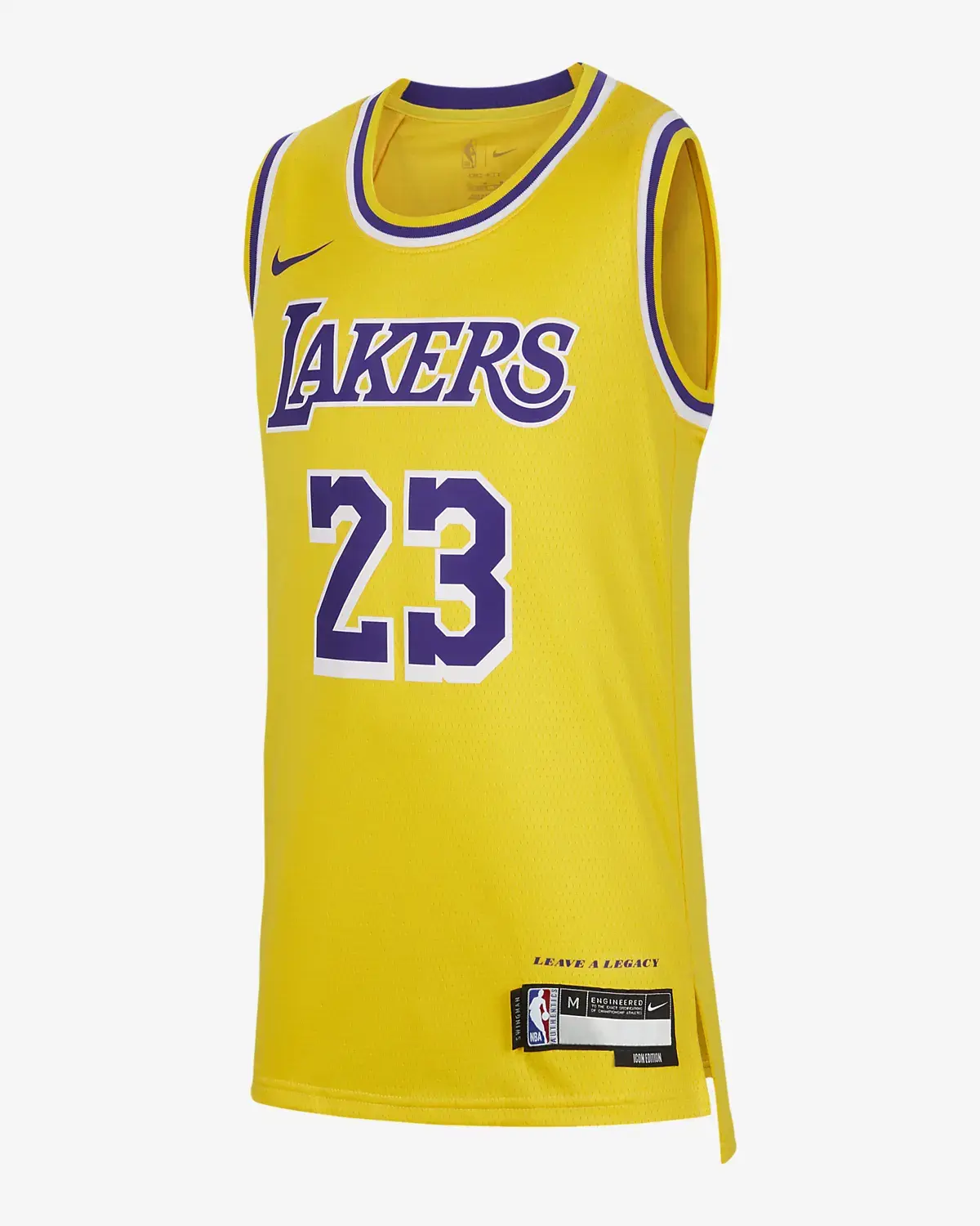 Nike LeBron James Los Angeles Lakers 2023/24 Icon Edition. 1