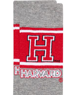 Harvard Baskılı Gri Soket Çorap