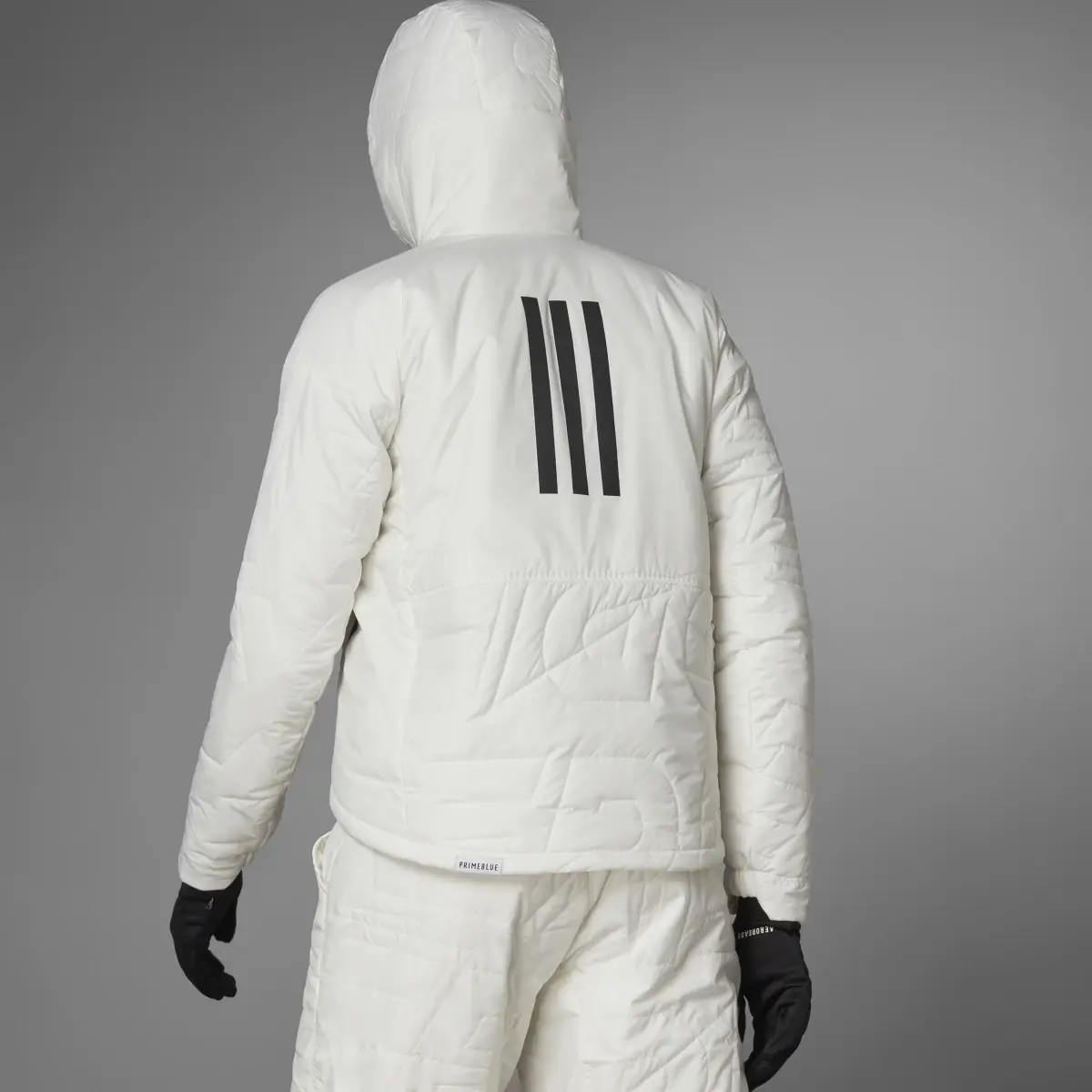 Adidas TERREX MYSHELTER PrimaLoft Hooded Padded Jacke. 2