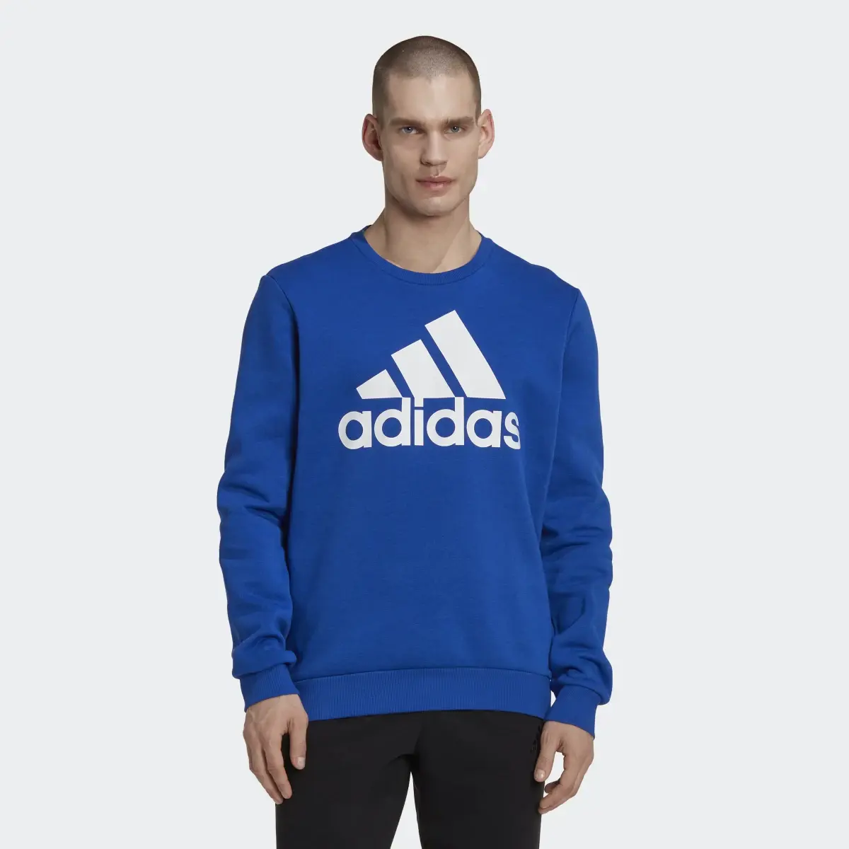 Adidas Essentials Big Logo Sweatshirt. 2