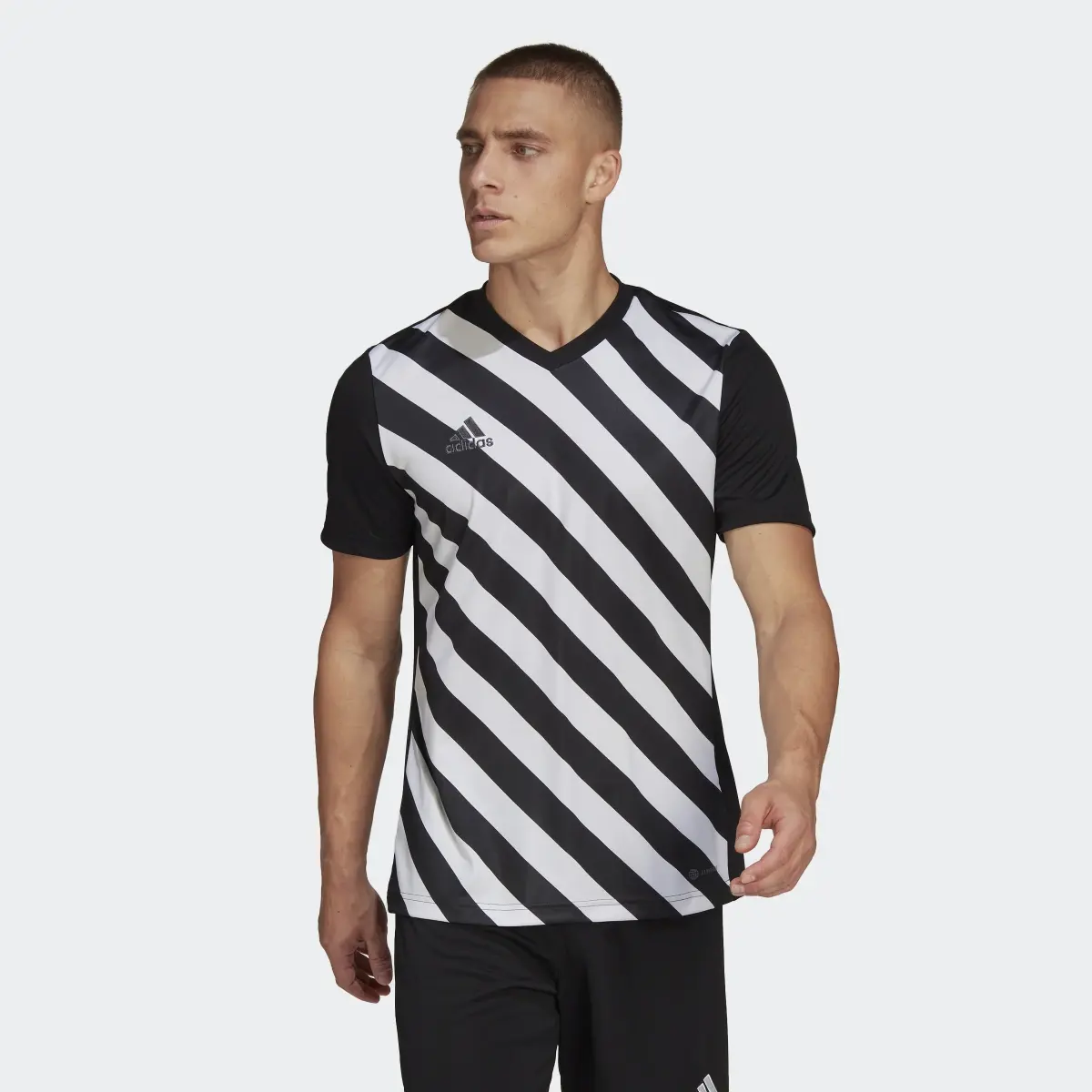 Adidas Maglia Entrada 22 Graphic. 2