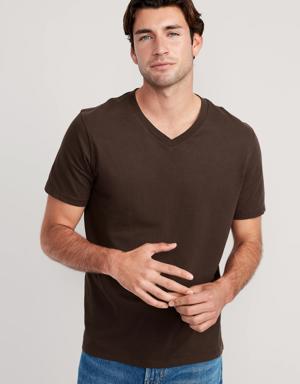 Soft-Washed V-Neck T-Shirt for Men brown