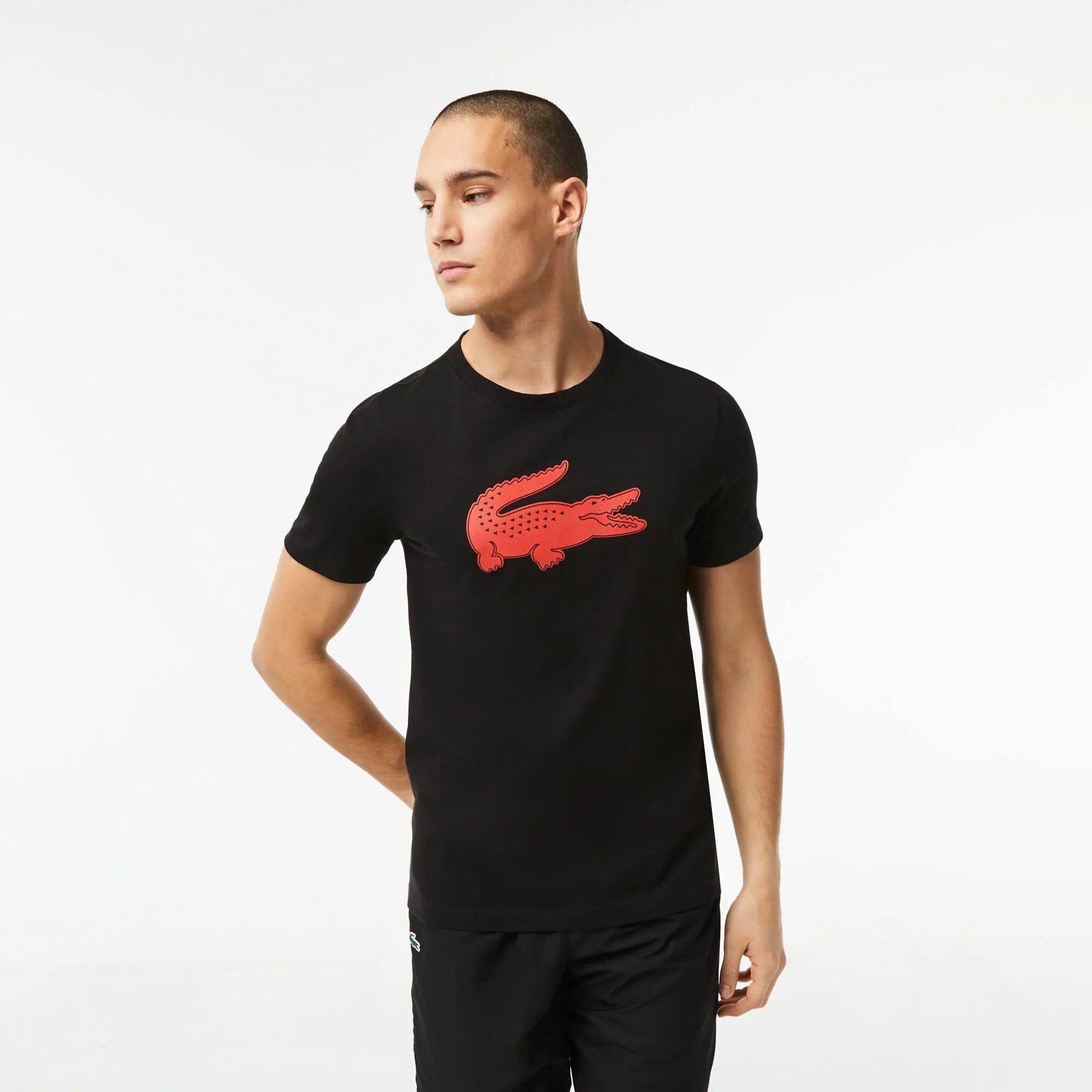 Lacoste T-shirt em jersey respirável com crocodilo estampado 3D Lacoste SPORT para homem. 1