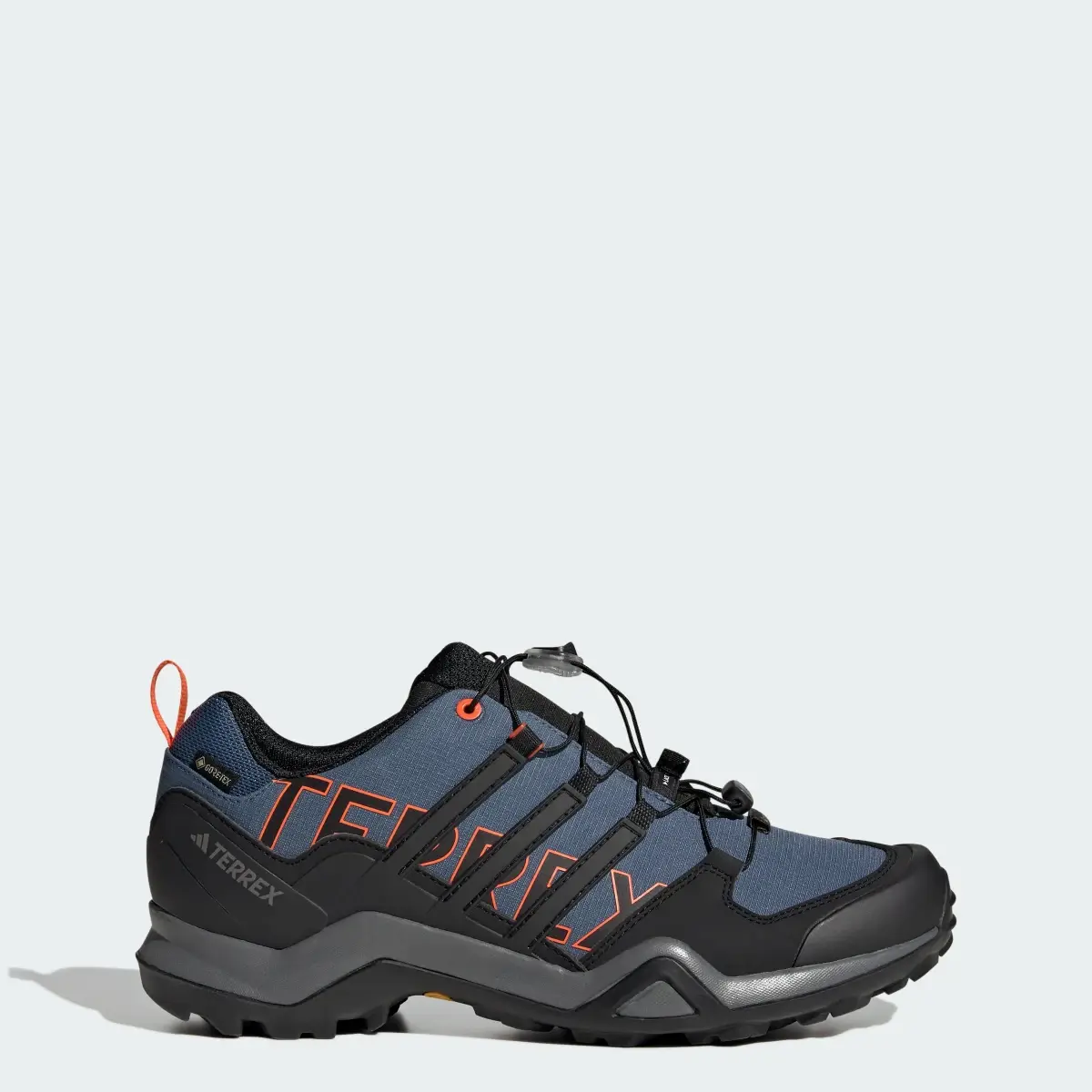 Adidas Terrex Swift R2 GORE-TEX Hiking Shoes. 1
